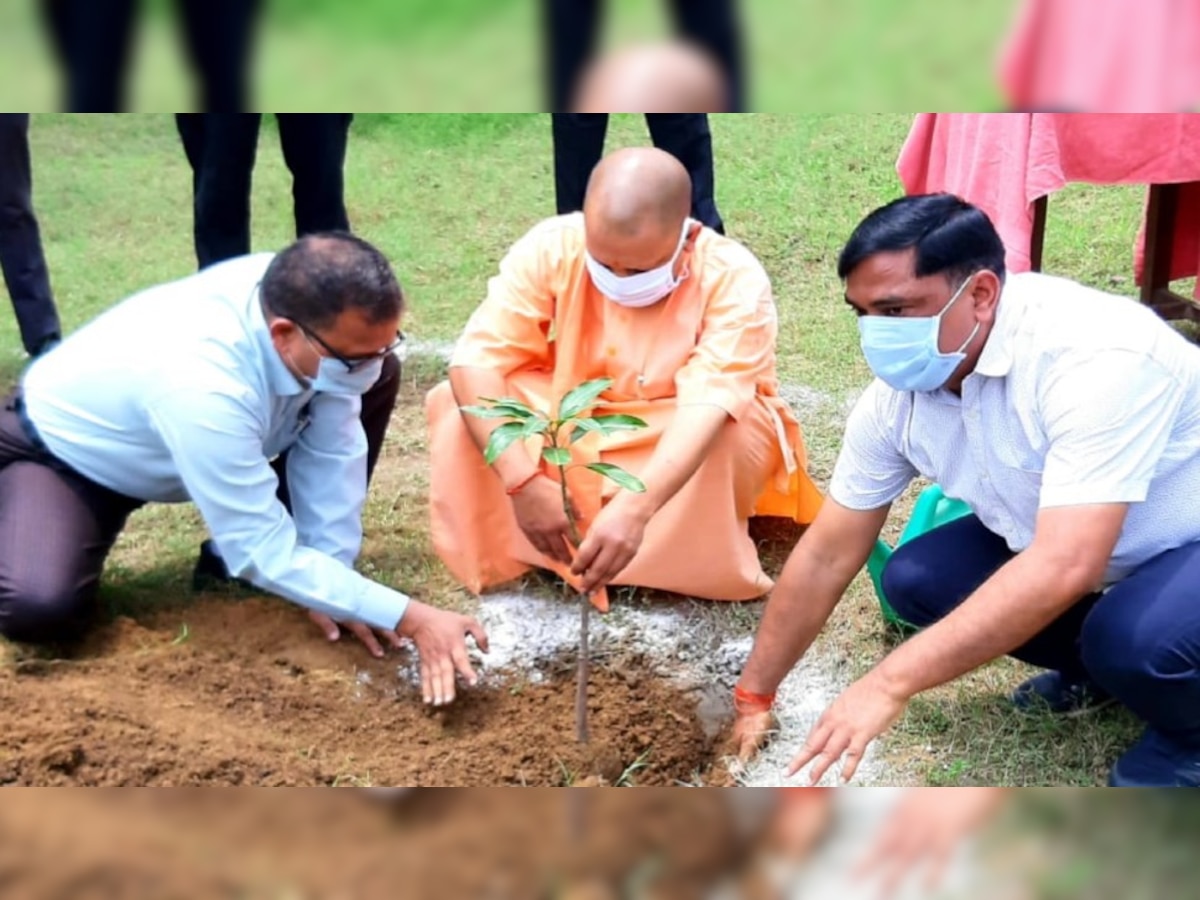 मुख्यमंत्री योगी आदित्यनाथ (फाइल फोटो).