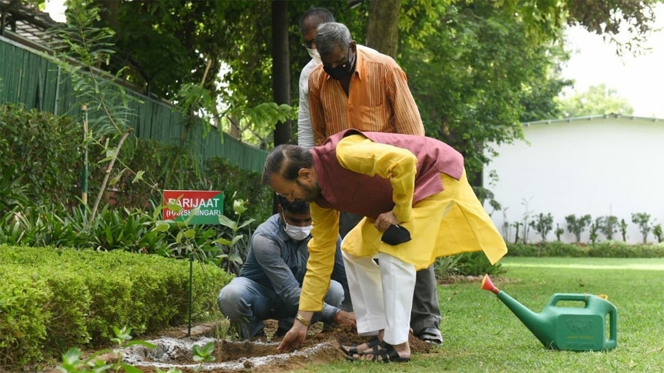 केंद्रीय मंत्री Prakash Javadekar ने की वन महोत्सव 2021 की शुरुआत, लोगों से की ये अपील