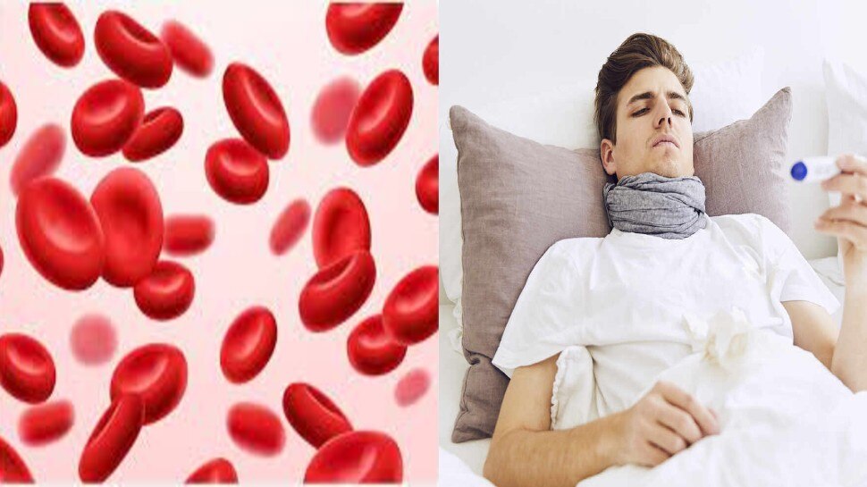 Symptoms Of Anemia: सांस की तकलीफ समते शरीर में blood की कमी के ये हैं 4 लक्षण, इन चीजों को खाने से बढ़ेगा खून