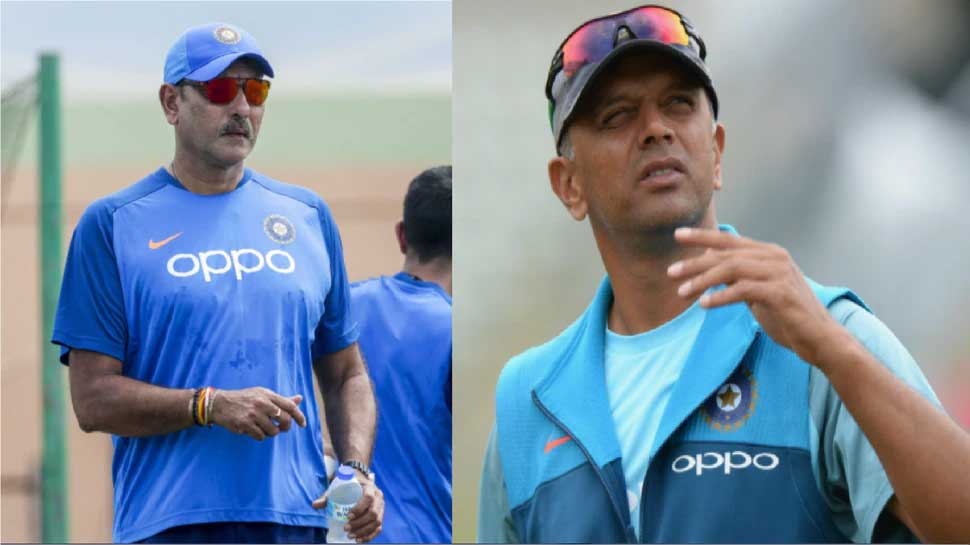 T20 World Cup के बाद कट जाएगा Ravi Shastri का पत्ता? Rahul Dravid बन सकते हैं Team India के नए कोच