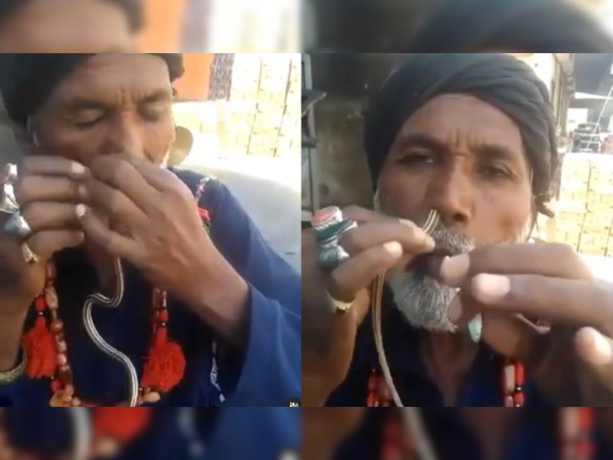 कमजोर दिल वाले ना देखें यह VIDEO, नाक में डालकर मुंह से बाहर निकाला सांप