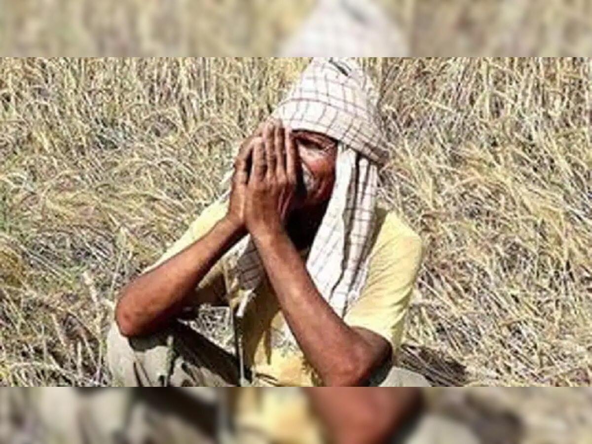 किसानों को सता रही पैदावार की चिंता (फाइल फोटो)