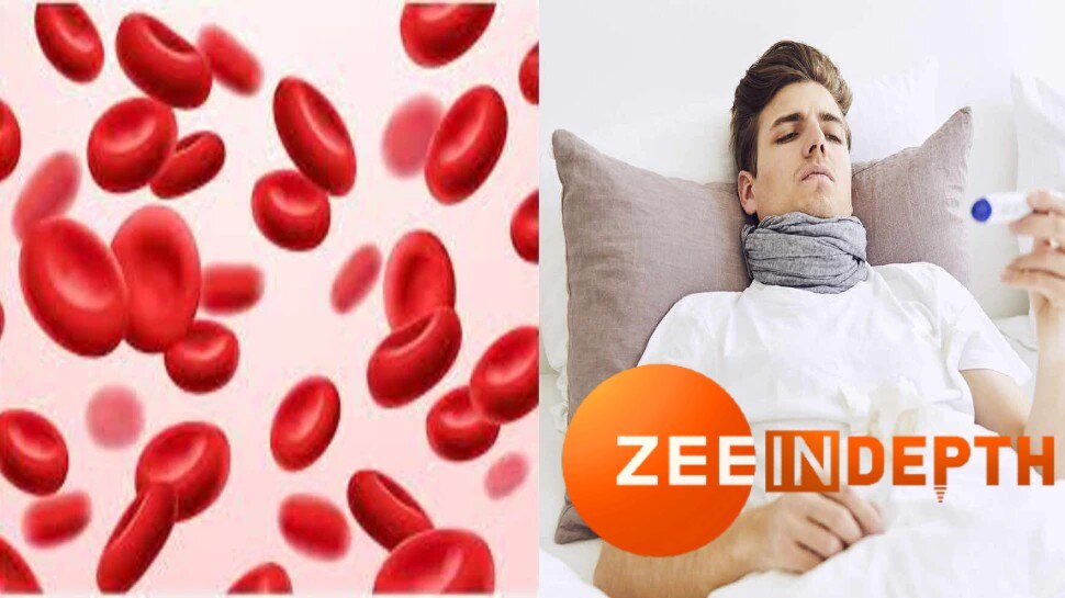 blood increase foods symptoms of anemia what is anemia body me khoon