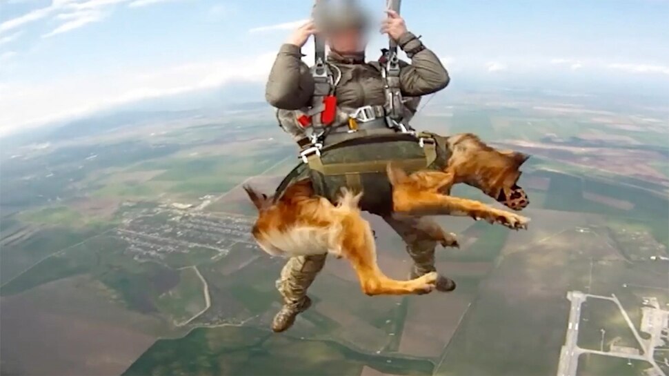 Putin के Canine Warriors ने Parachute पहनकर लगाई 13,000 फीट से लगाई छलांग, देखने वालों के उड़ गए होश