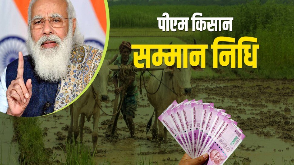 PM Kisan: अटक जाएंगे 9वीं किस्त के 2000 रुपये, अगर आपने भी कर दी ये गलती, तुरंत करें सुधार