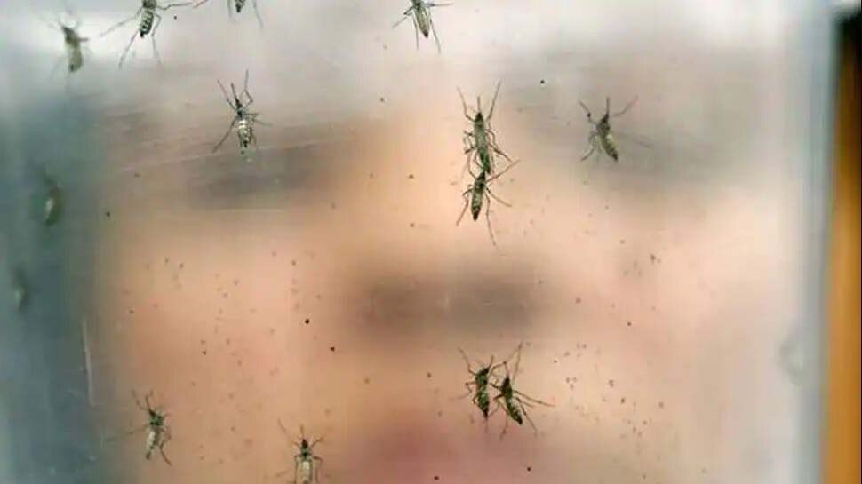 केरल में मिला Zika virus का पहला केस, 24 वर्षीय गर्भवती महिला संक्रमित