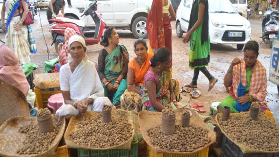 Chhattisgarh: क्या आपने खाई है देश की सबसे महंगी Sarai Boda की सब्जी, कीमत जानकर रह जाएंगे हैरान