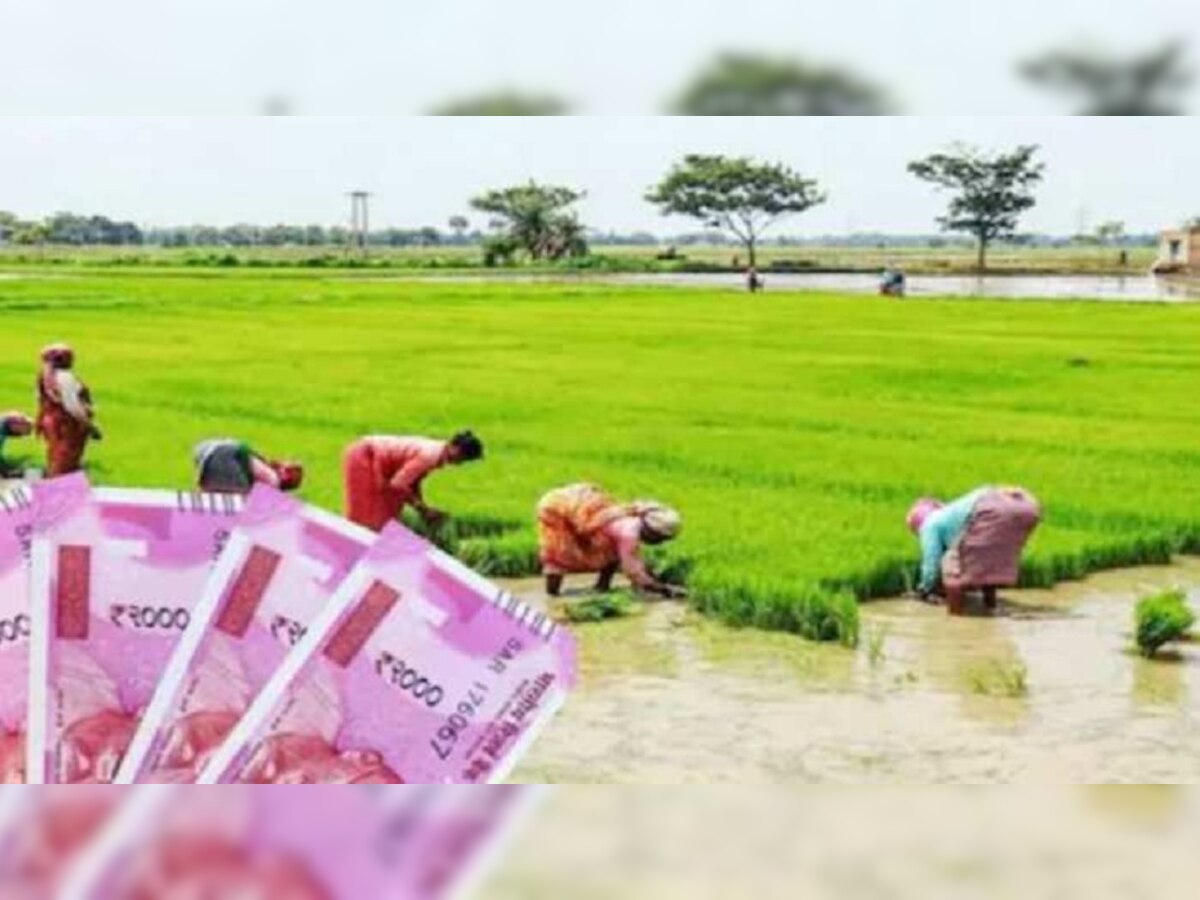किसानों को अब मिलेगा 36000 रुपये मानधन योजना के तहत (फाइल फोटो)