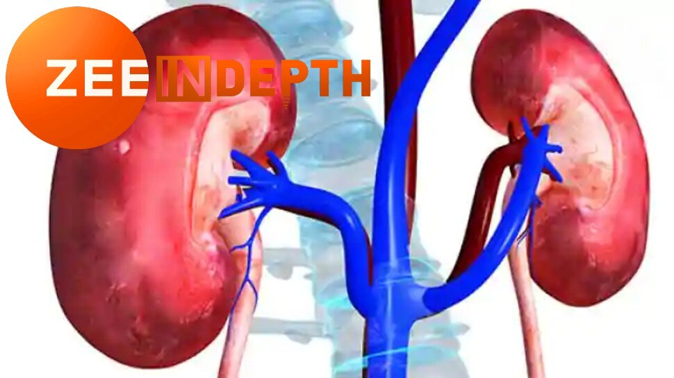 kidney health: इन 5 आदतों से किडनी हो सकती है खराब, कहीं आप भी तो नहीं करते ये गलतियां