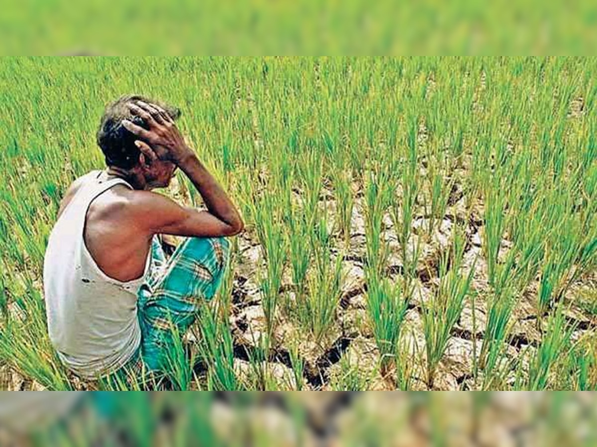 सांकेतिक तस्वीर