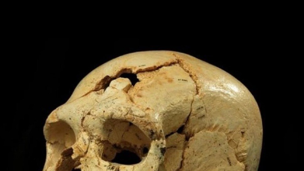 नुकु हिवा, फ्रेंच पोलिनेशिया Cannibalism in Africa