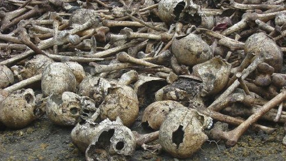 लाइबेरिया killing human