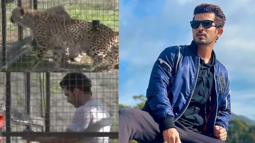 Khatron Ke Khiladi 11: दो चीतों से होगा Arjun Bijlani का सामना, Video देख खड़े हो जाएंगे रोंगटे