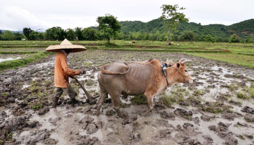 Kisan Samman Nidhi Yojana में बड़ा फर्जीवाड़ा, Ineligible Farmers के खाते में गए 3 हजार करोड़