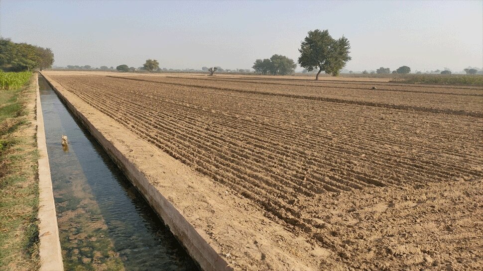 Rajasthan में Monsoon की देरी से किसान मायूस, दलहन बुआई रकबे पर दिख रहा असर