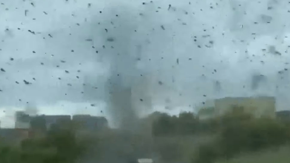 Mosquito Tornado: Russia में आया 'मच्छरों का तूफान', फोटो देख कांप जाएगी रूह