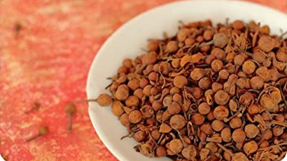 पूजा पाठ में होता नागकेसर का इस्तेमाल Nagkesar used in worship
