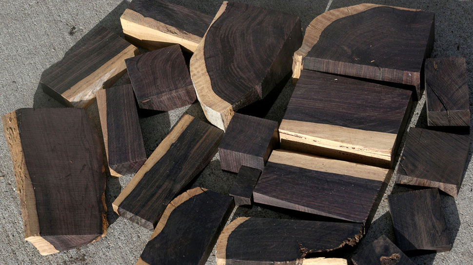 African blackwood is most expensive wood in world