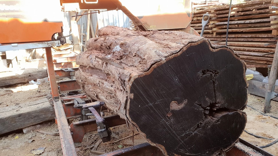 One kg of wood sold for Rs 7 lakh