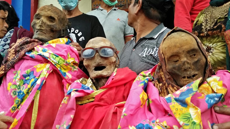 पूरे गांव में मनाया जाता है जश्न Celebration is celebrated in the whole village