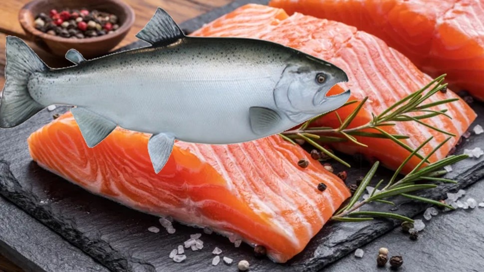 salmon in hindi