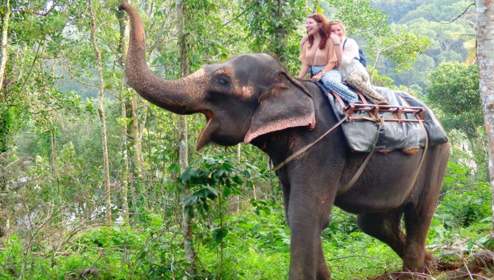 थेक्कडी Thekkady kerala