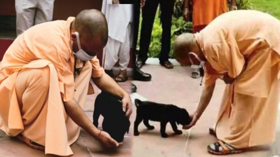 इंटरनेट सेंसेशन बना CM Yogi Adityanath का 'गुल्लू', सोशल मीडिया पर तस्वीरें वायरल