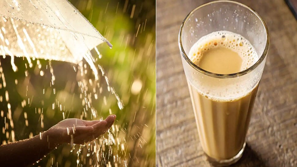 do you feel tea addiction during rainy season, know these better and