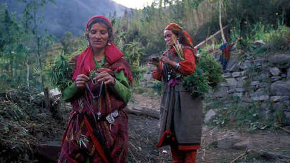 गांव के लोग बोलते हैं रहस्यमयी कनाशी भाषा The people of the village speak the mysterious Kanashi language