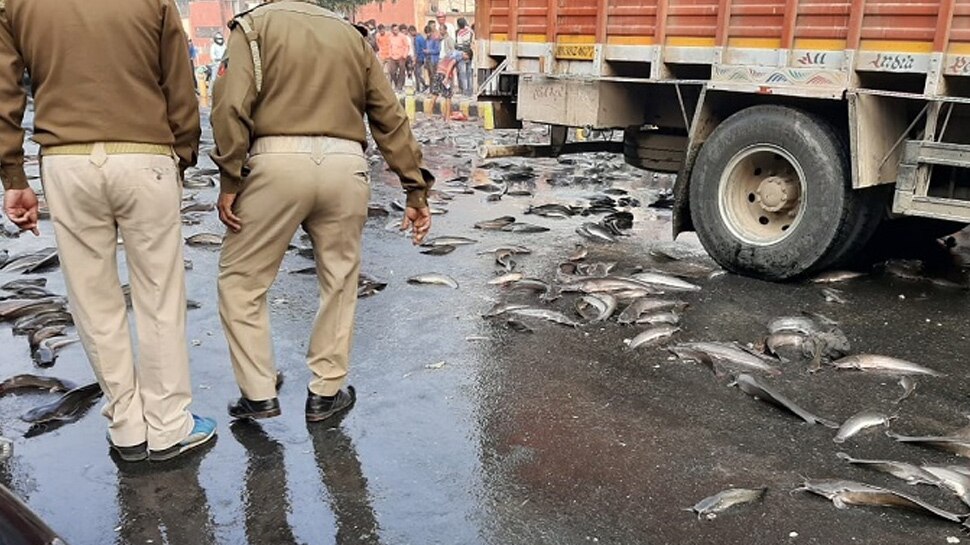 Baghpat: ईस्टर्न पेरिफेरल एक्सप्रेस वे हुआ बड़ा हादसा, 1140 किलो मछलियों की तड़प-तड़पकर मौत