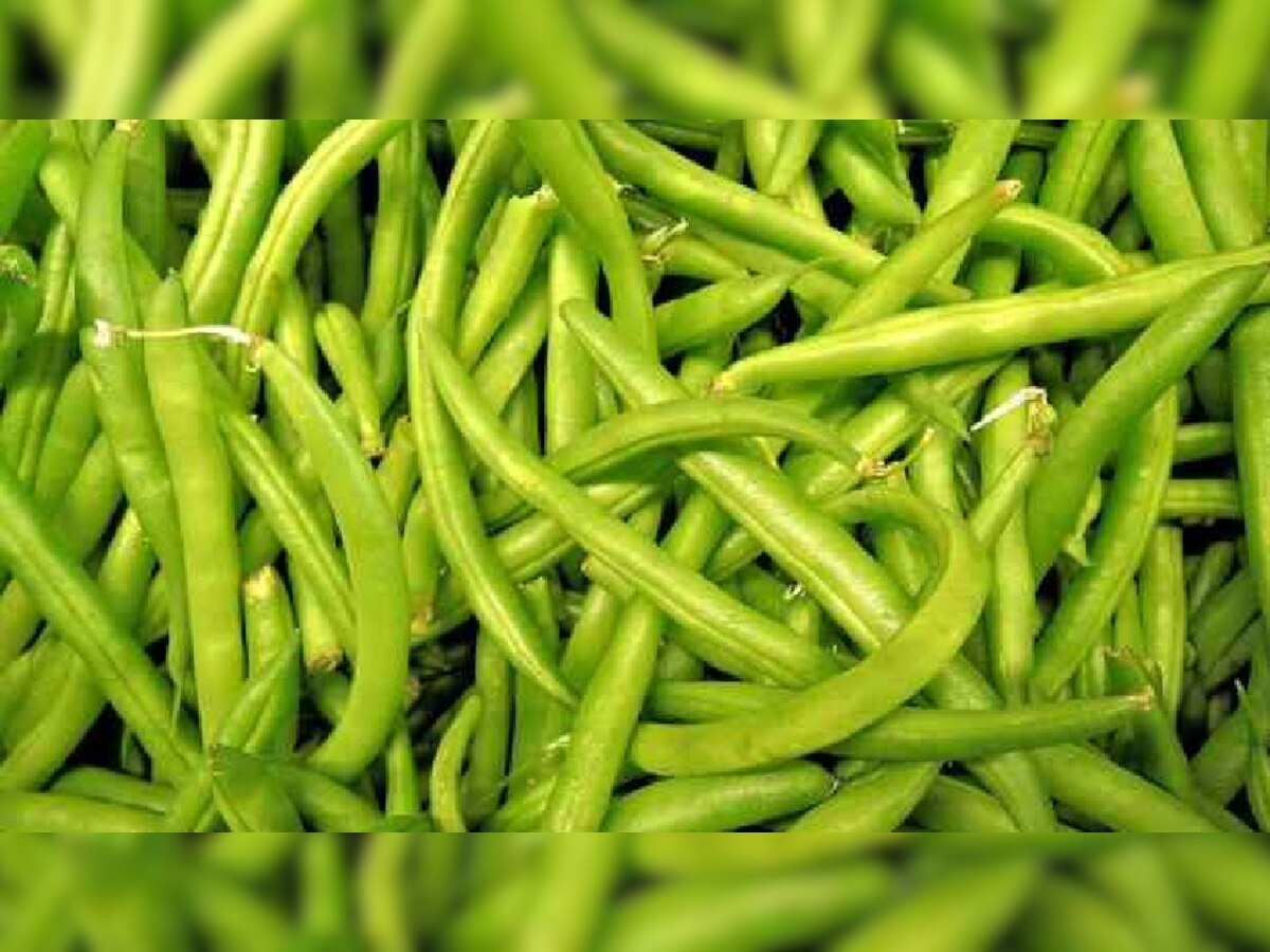 benefits of cluster bean benefits Guar fali janiye Guar fali khane ke