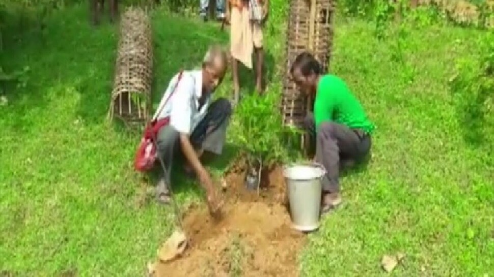 Odisha का यह Teacher पढ़ा रहा पर्यावरण संरक्षण का शानदार पाठ, 60 साल में लगा दिए 30 हजार Plants