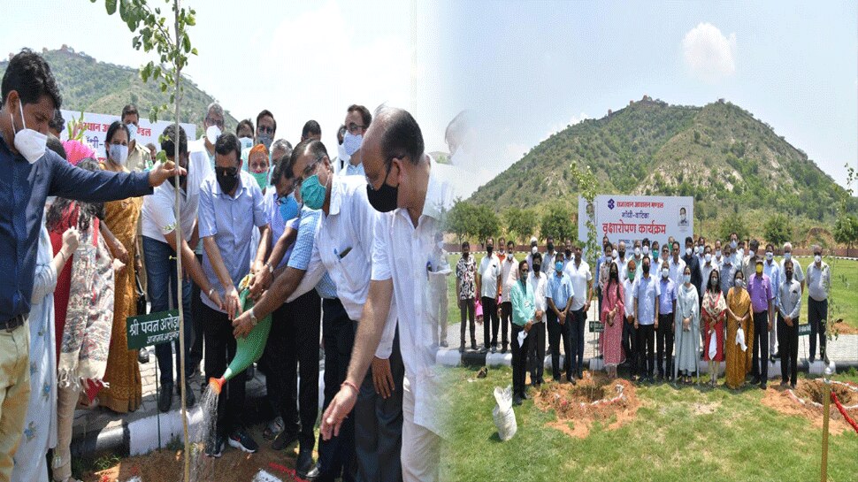 Jaipur Rajasthan Housing Board will plant 1 lakh trees in this monsoon