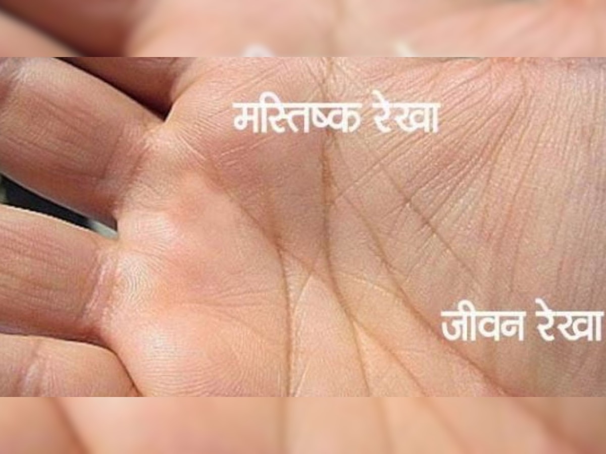 Palmistry: क्या आपके हाथ में भी है ऐसी जीवन रेखा? लंबी उम्र तक जीता है व्यक्ति