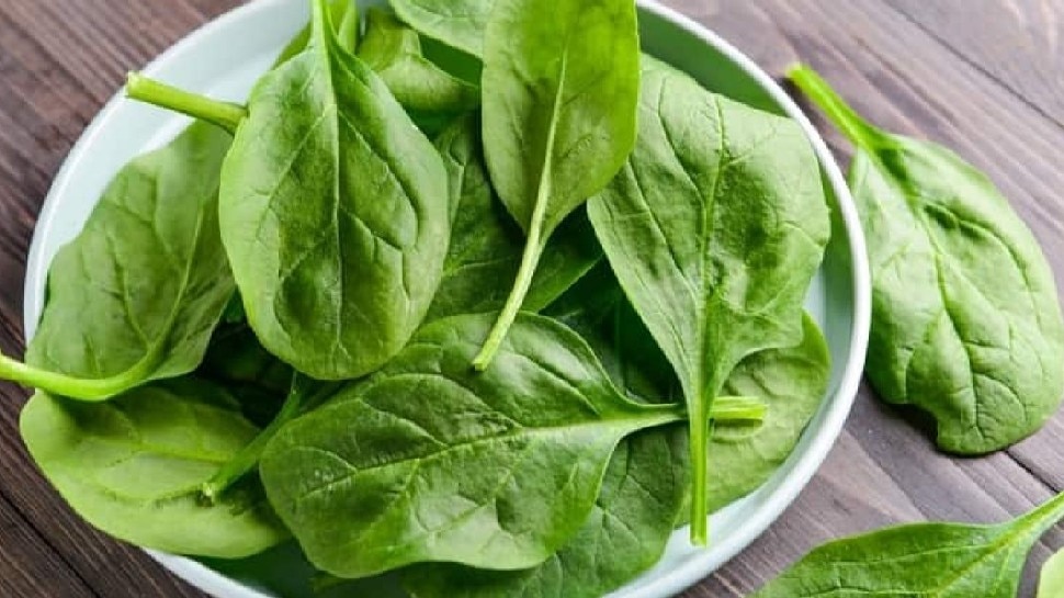 पालक (Spinach increases blood) पालक (Spinach increases blood)