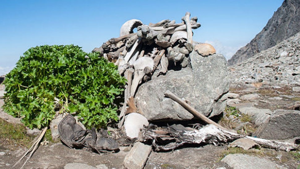 अलग-अलग लोगों के समूह के थे कंकाल Skeletons belonged to different groups of people