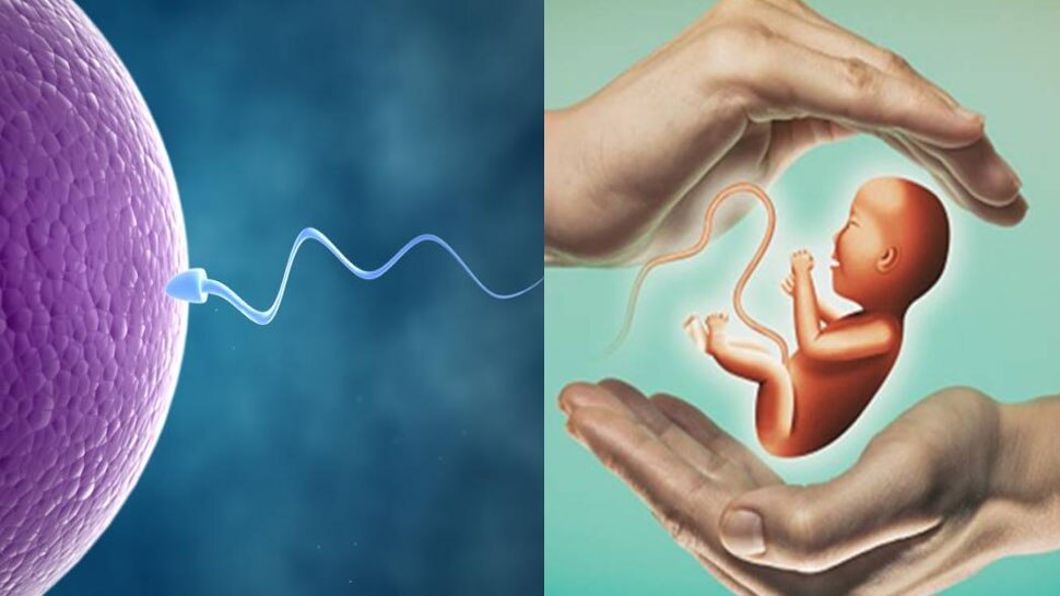 'पर्यावरणीय विषैलापन' Sperm effect due to environmental toxicity