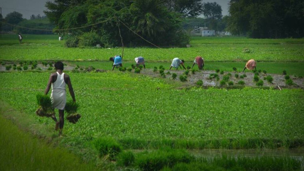 Farm Loans माफ करने की अटकलों पर सरकार ने स्थिति स्पष्ट की, लोक सभा में वित्त राज्य मंत्री ने दिया बयान