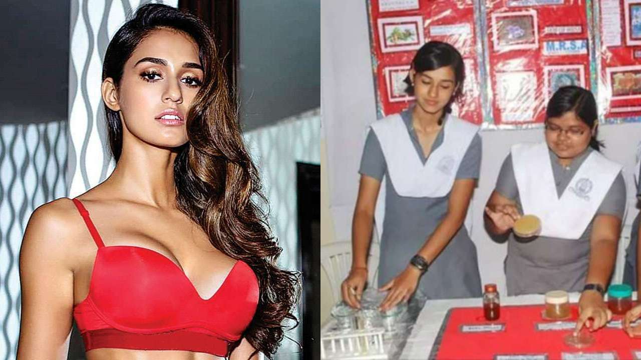 दिशा पटानी Disha Patani