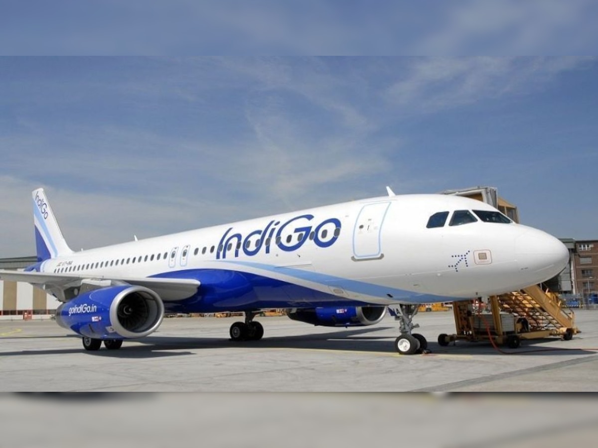 Indigo Special Offer