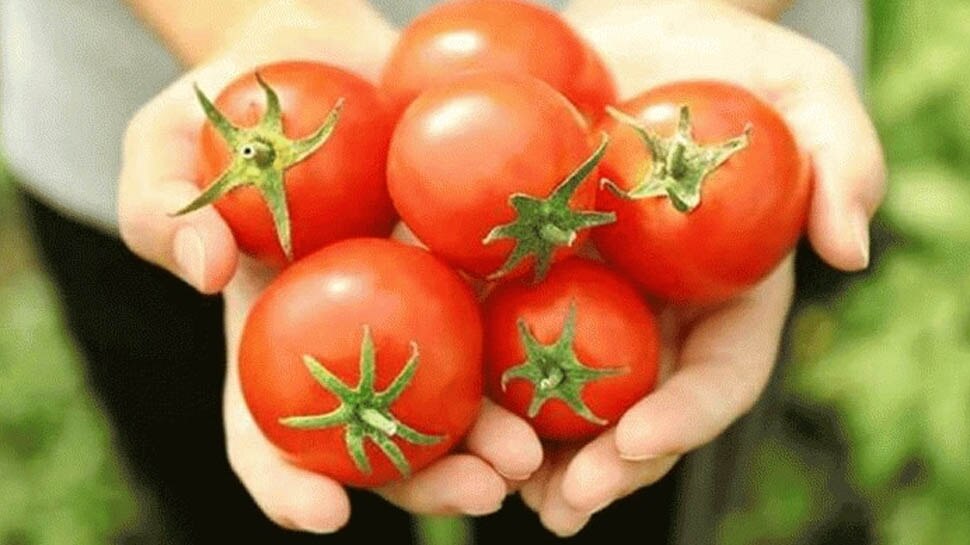 टमाटर benefits of vegetable peelings nutrition Healthy food