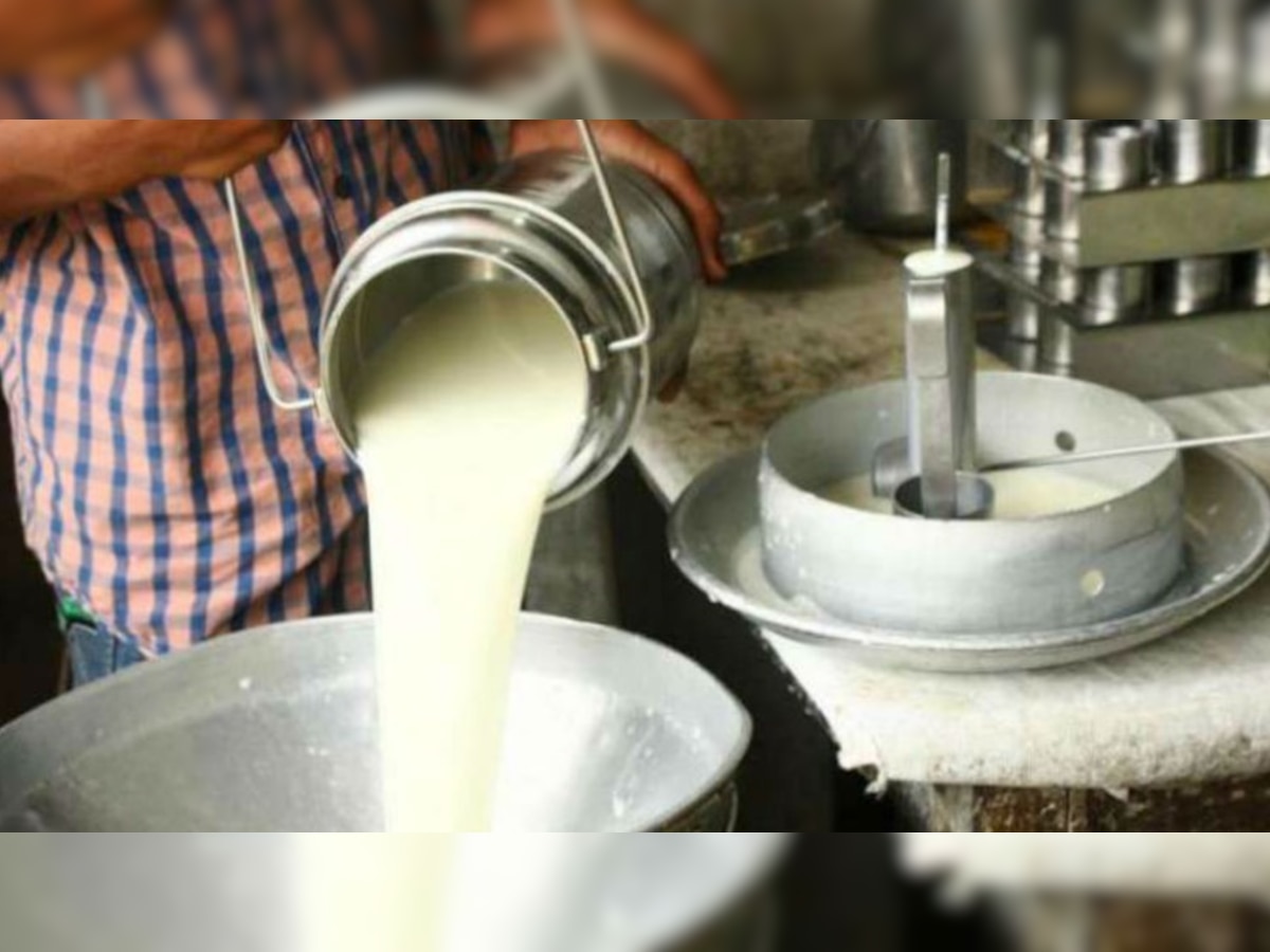 How to identify adulterated milk