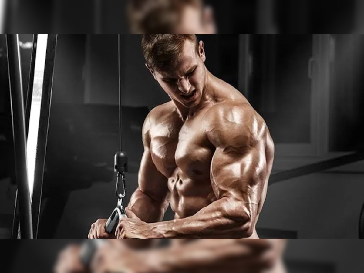 Best Exercises For Triceps Muscle