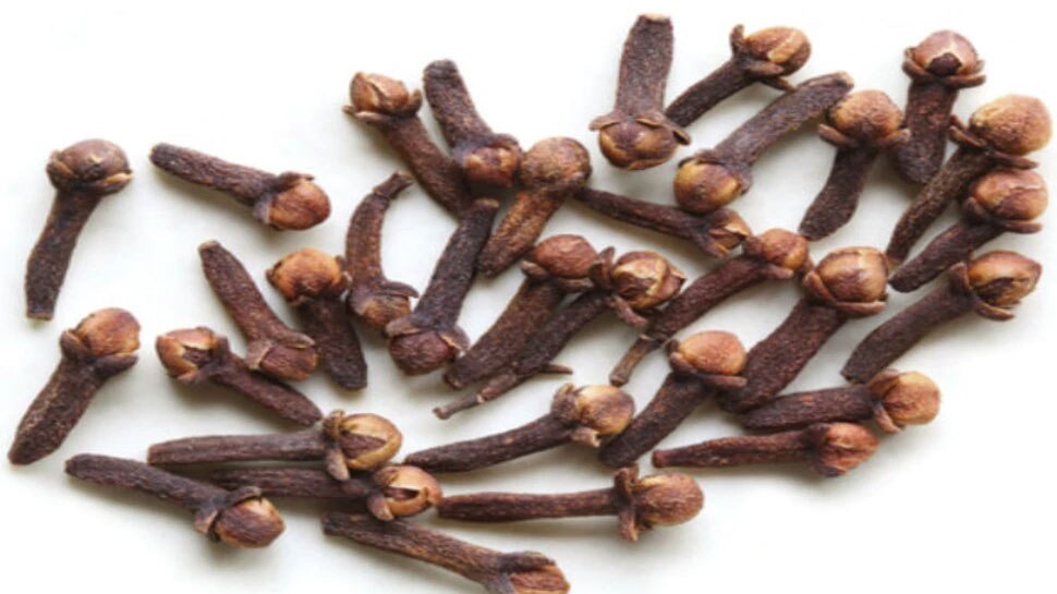 Clove means long tips