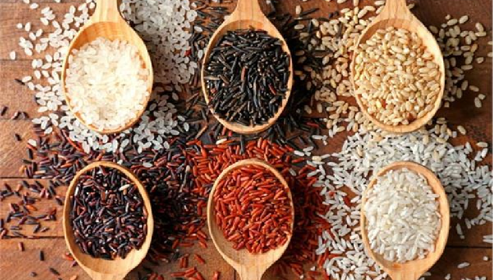 Which rice is beneficial for health: रेड, ब्राउन, ब्लैक और सफेद में से कौन सा चावल ज्यादा फायदेमंद, जानिए यहां...
