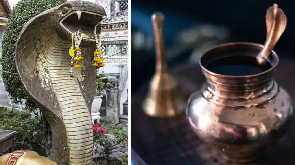 Nag Panchami 2021: सिर्फ काल सर्प दोष ही नहीं कई तरह से व्‍यक्ति की जिंदगी पर असर डालते हैं नाग, जानिए वजह