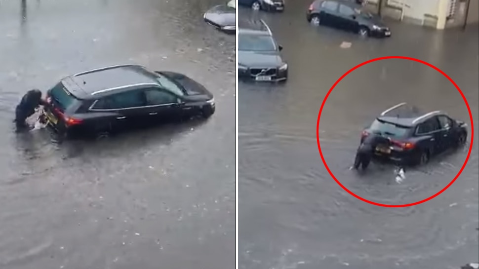 Viral Video of car got stuck in flood, dog came to help the woman, started  pushing like this | Video: पानी में फंसी कार को निकालने लगी महिला, तभी  कुत्ता भी आकर