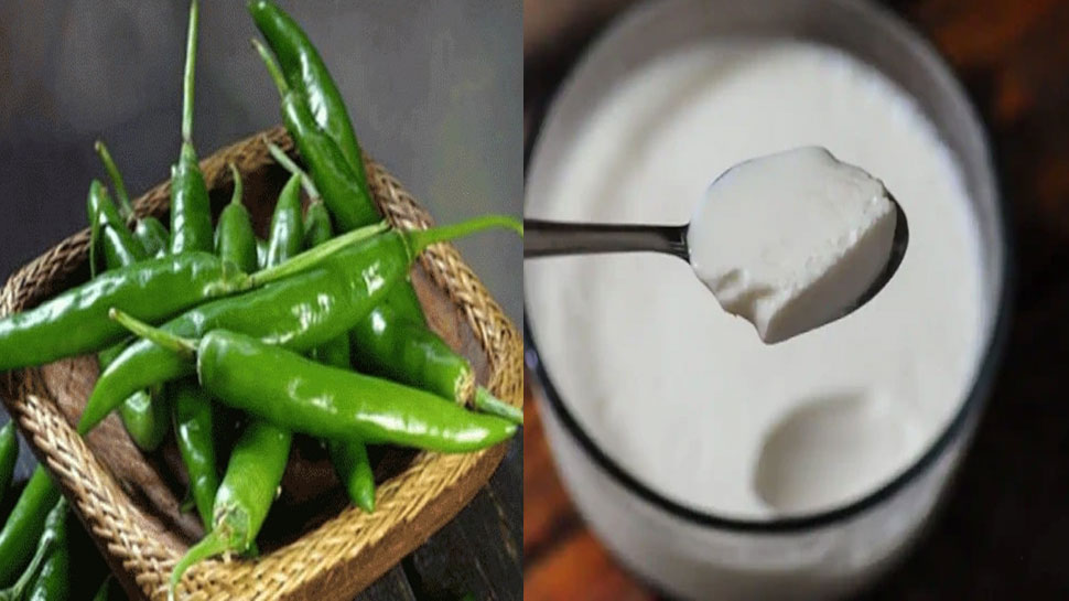 curd at home without jaman or starter