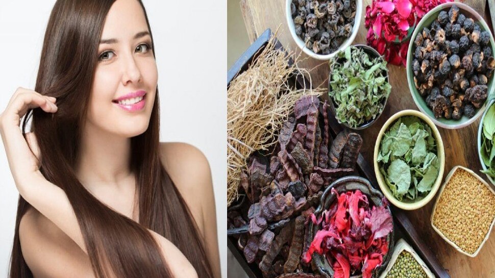 herbs for hair: आपके बालों को नया जीवन देती हैं यह 5 जड़ी-बूटियां, hair हो जाएंगे काले, घने और मजबूत