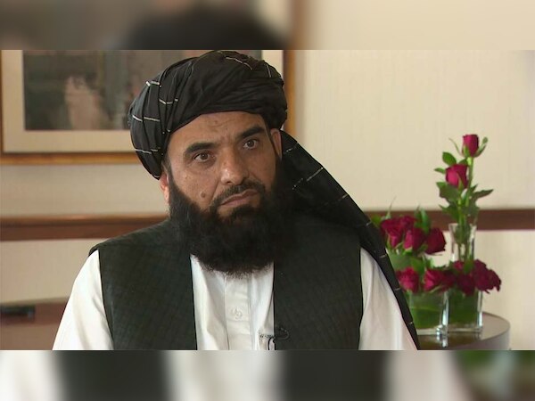 सुहैल शाहीन, तर्जुमान 